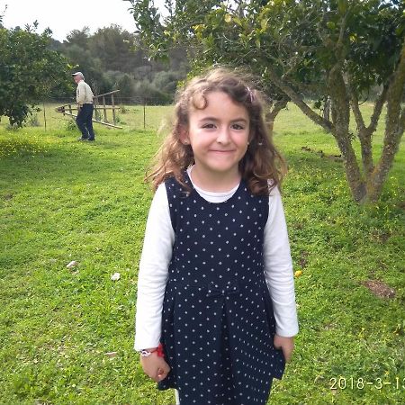 Agroturismo Sa Vall Son Macia  Exteriér fotografie